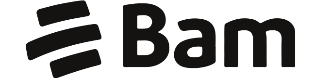 bam logo